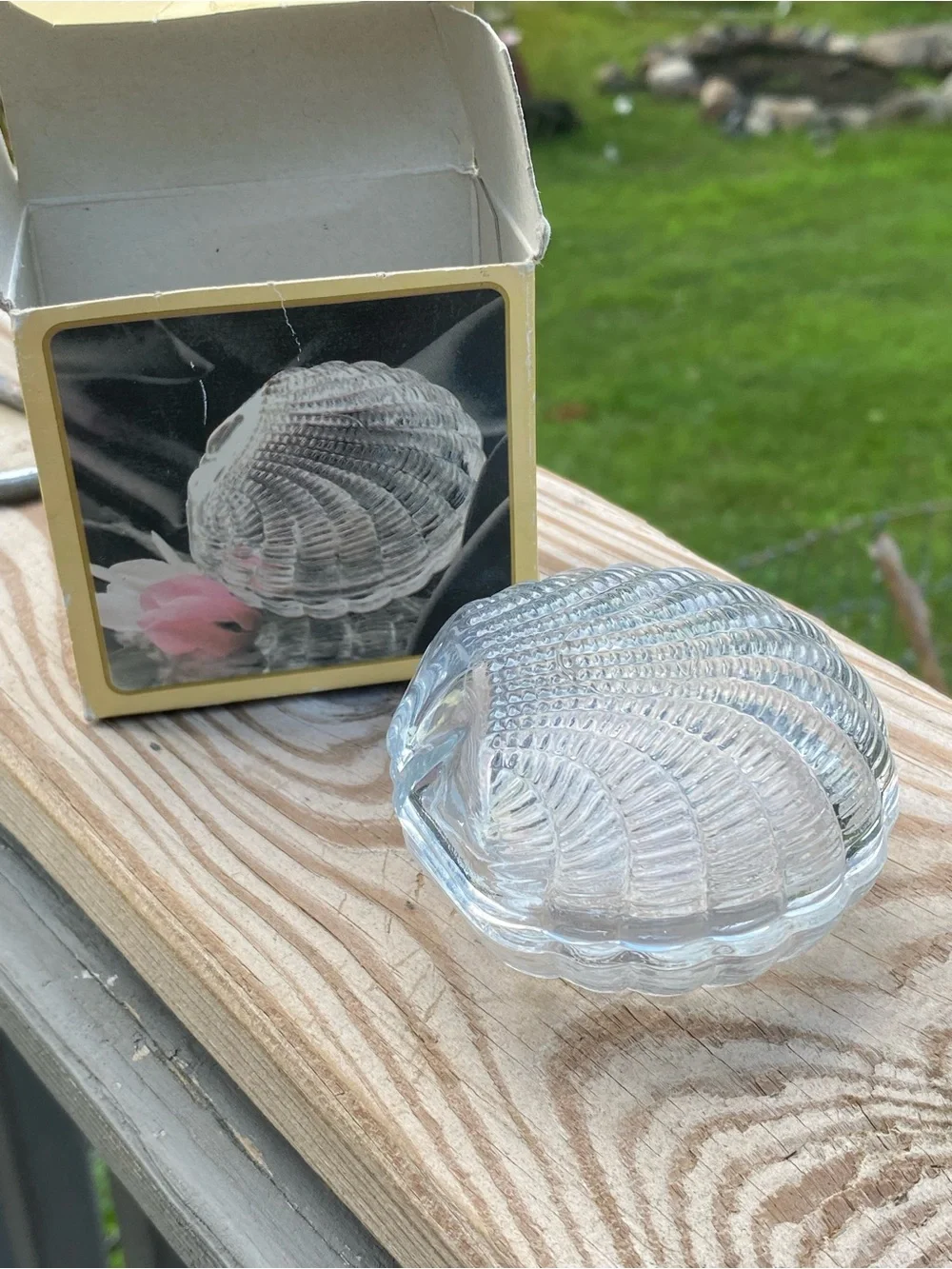 Clear Glass Shell Trinket Box - Decorative Sea Shell